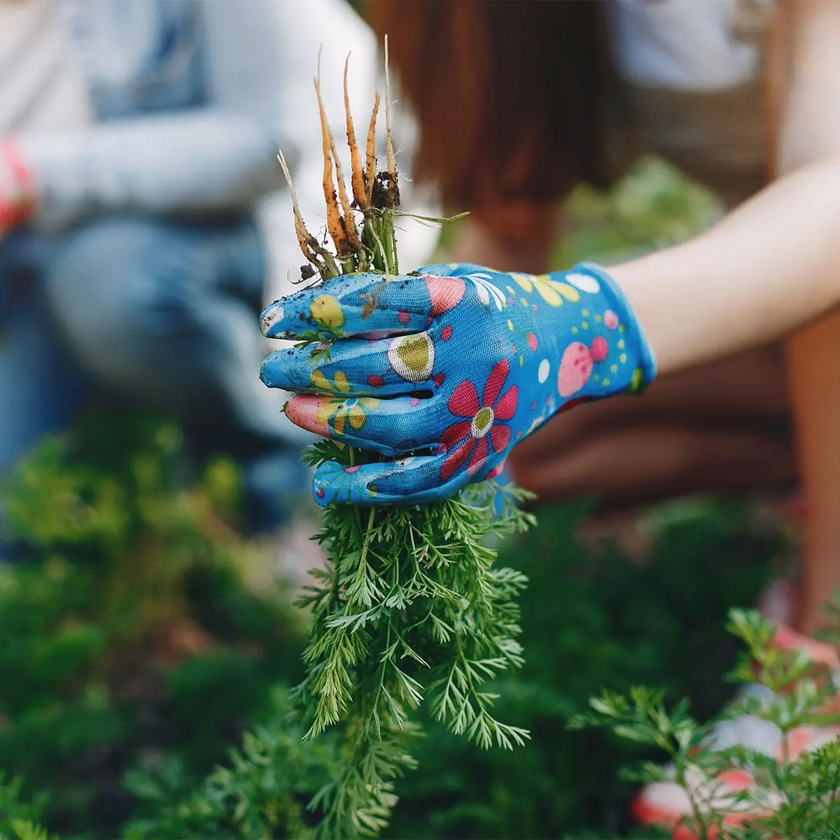 post img 10 min Legal Farms in Noida