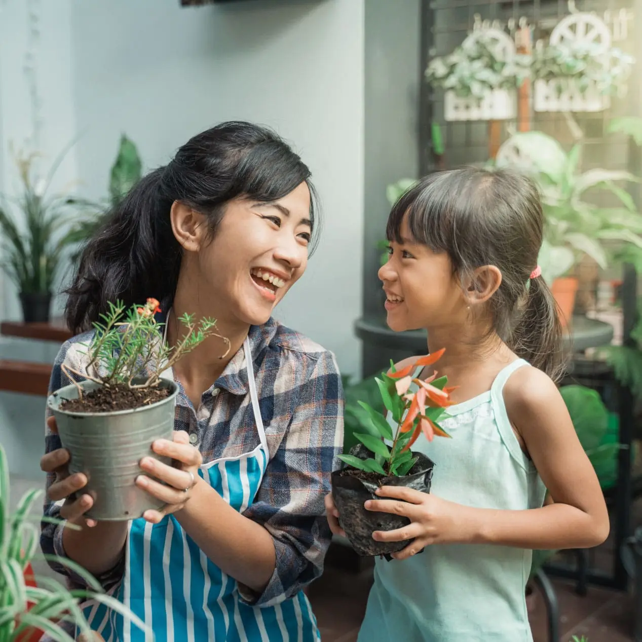 post img 11 min Legal Farms in Noida