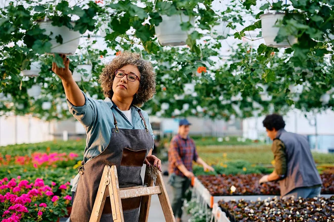 post img 13 Legal Farms in Noida