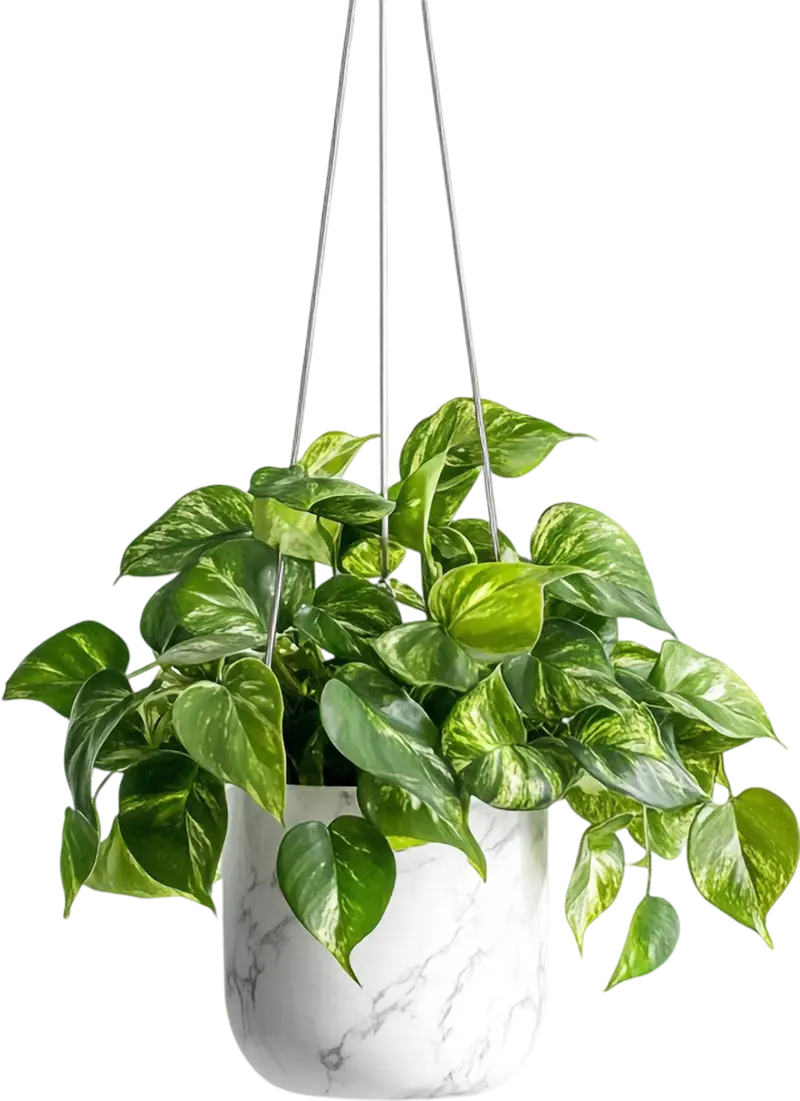 home4 img1 Legal Farms in Noida